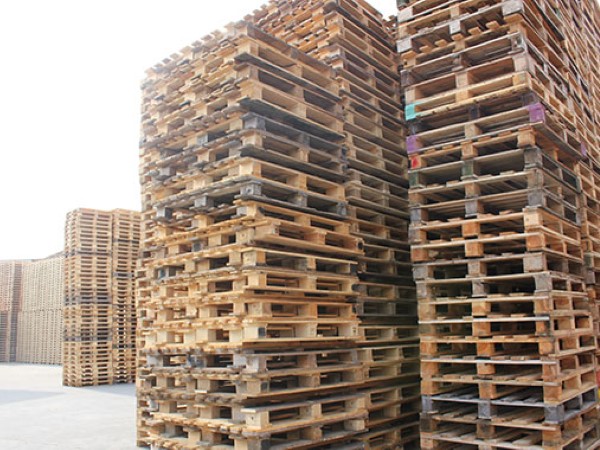 PALLETS STANDARD IN ABETE O PIOPPO